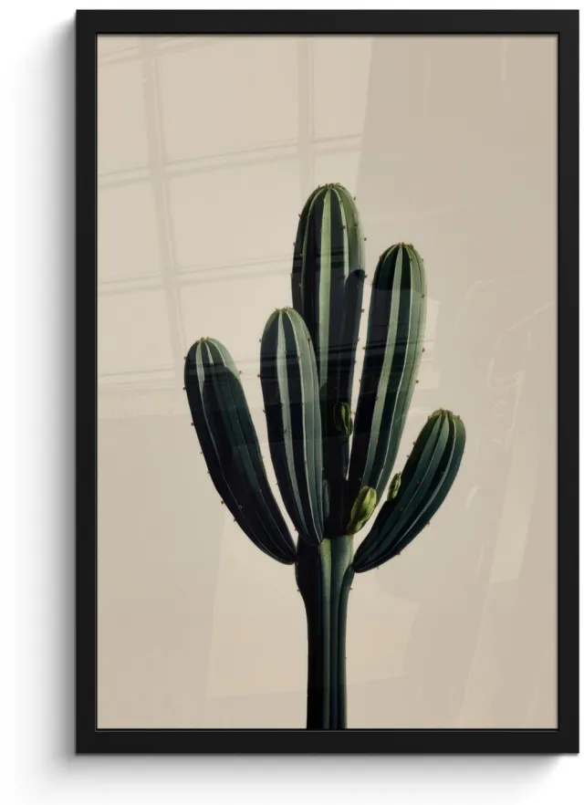 FrameYourWall Poster in lijst - Fotolijst 40x60 cm - Posters - Cactus - Subtiel - Groen - Posterlijst zwart - Decoratie - Wanddecoratie woonkamer - Muurdecoratie slaapkamer