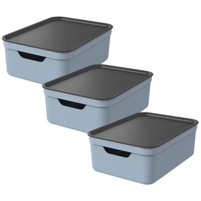 Rotho Jive opbergboxen set van 3 Opbergdozen 10 L met Deksel, Kunststof (PP Gerecycled), Blauw /Antraciet, 3 x 10 L, 36,5X26,5X13CM groen