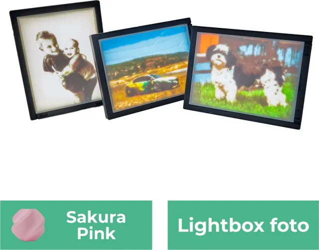 Lovora Lightbox foto - Sakura Roze