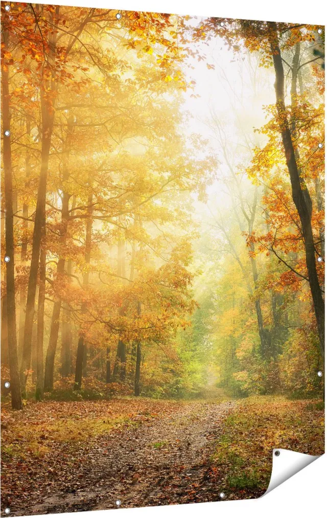 Gards Tuinposter Herfstbos met Zonneschijn - 120x160 cm - Tuindoek - Tuindecoratie - Wanddecoratie buiten - Tuinschilderij Multikleur