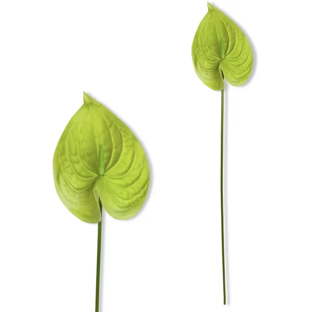 Inspiruj Anturium Serie - Kunstbloem - Groene Piankranten - 57 cm
