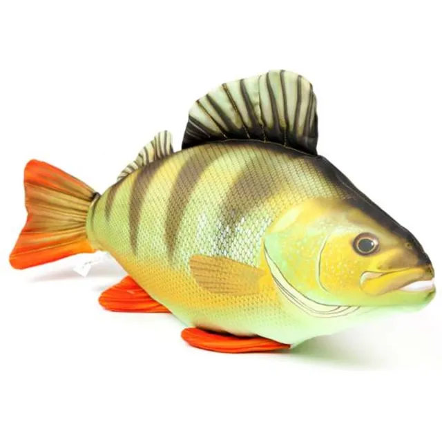 Eurocatch Baars Kussen - Knuffel - Sierkussen - Visknuffel - 50 cm Groen Geel