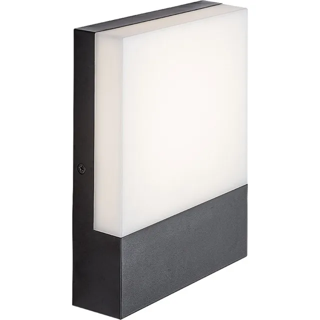Rabalux Wandlamp - lamp, buiten, wandmontage, LED 10W, IP44, 4000 K - zwart, Gimone
