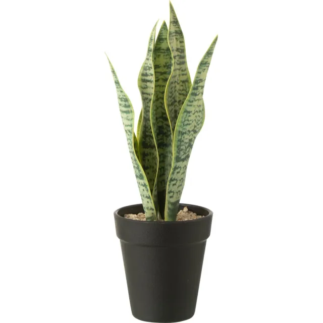 J-Line plant Dracaena Trifasciata in pot - kunststof - groen - small