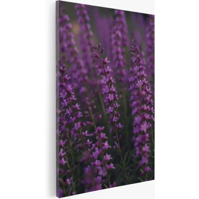 Saammp Canvas Schilderij - Lavendelveld - Natuur - Bloemen - 40x50 - Foto op canvas - Wanddecoratie - Muurdecoratie Woonkamer - Kantoor Decoratie Multicolor