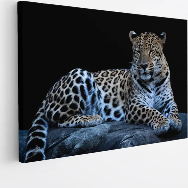 Saammp Canvas Schilderij - Luipaard op steen - Natuur - Dieren - 45x30 - Foto op canvas - Wanddecoratie - Muurdecoratie Woonkamer - Slaapkamer decoratie - Canvas Print Multicolor