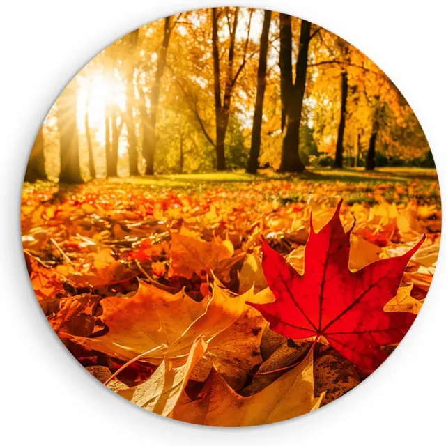 Saammp Muurcirkel Hout - Rood Herfst Blad - Natuur - Bloemen - Ø 80 - Wandcirkel - Wanddecoratie Cirkel - Muurdecoratie Woonkamer - Slaapkamer decoratie - Rond Schilderij