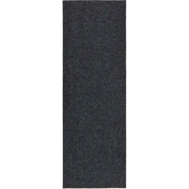 vidaXL Droogloopmat 100x300 cm antracietkleurig Anthraciet