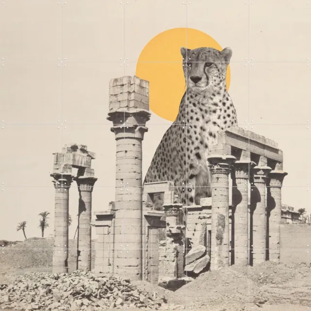 IXXI Giant Cheetah in Ruins, Florent Bodart - 100 x 100 cm - Grote wanddecoratie en posters - Vintage, Gemengde Technieken, Collage, Surrealisme Lichte tinten / Geel