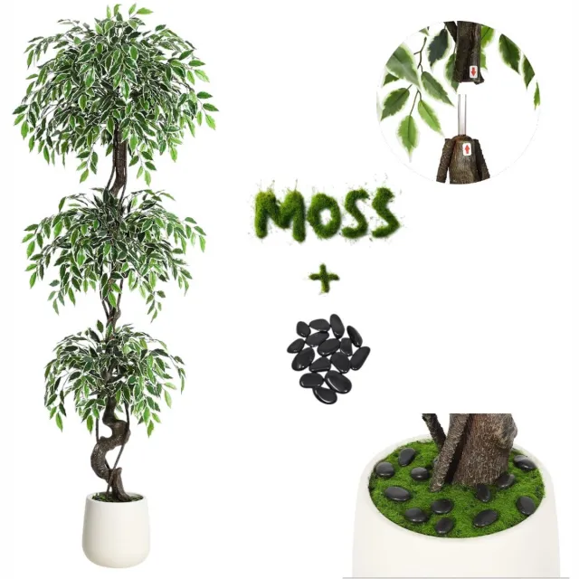 Danky Kunstmatige banyanboom - zijdeachtige bladeren - witte kiezelpot - decoratieve rechtopstaande plant - geschikt voor het decoreren van woonkamers, kantoren en entrees - 180 cm