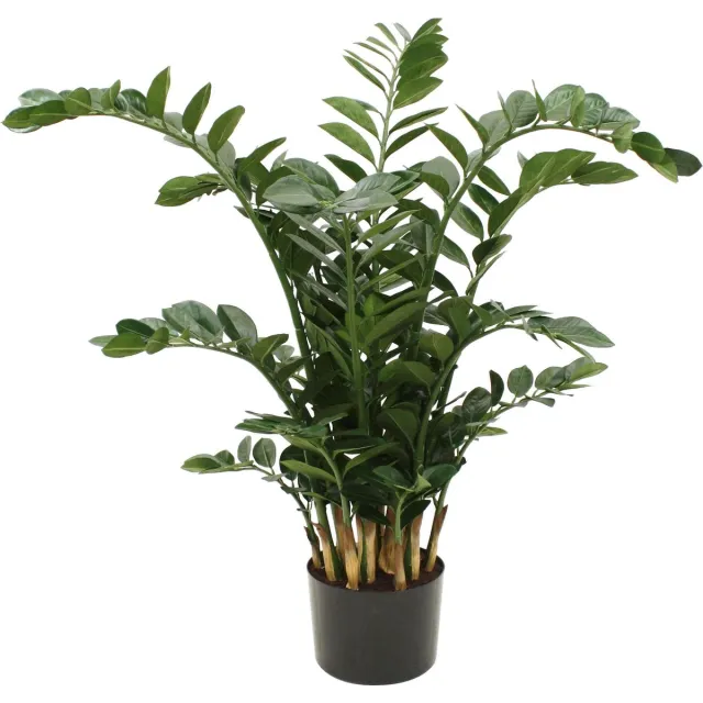 Designplants Zamioculcas Kunstplant Groen