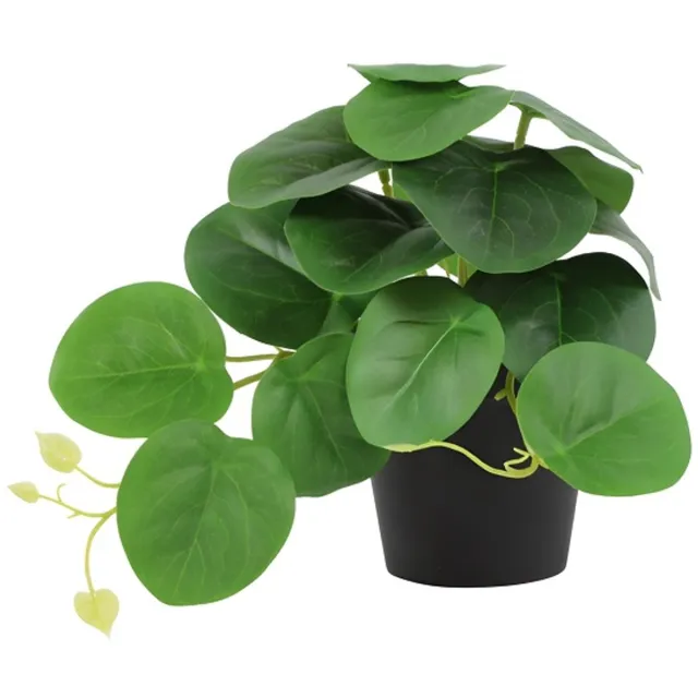 Countryfield Kunstplant-peperomia-groen-hoogte 17 cm