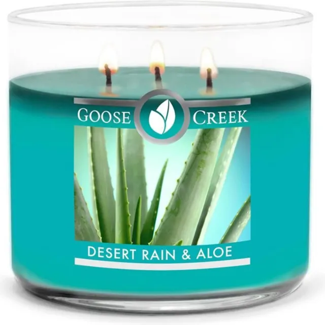 Goose Creek Candle Dessert Rain & Aloe Goose Creek Candle 411 grams 3 wick Collection zilver groen