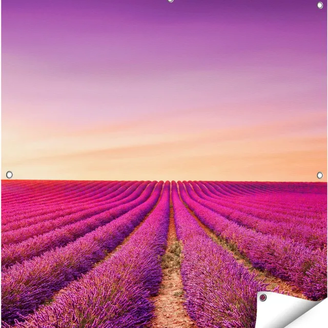 Gards Tuinposter Paarse Lavendel Bloemenveld - 90x90 cm - Tuindoek - Tuindecoratie - Wanddecoratie buiten - Tuinschilderij Multikleur