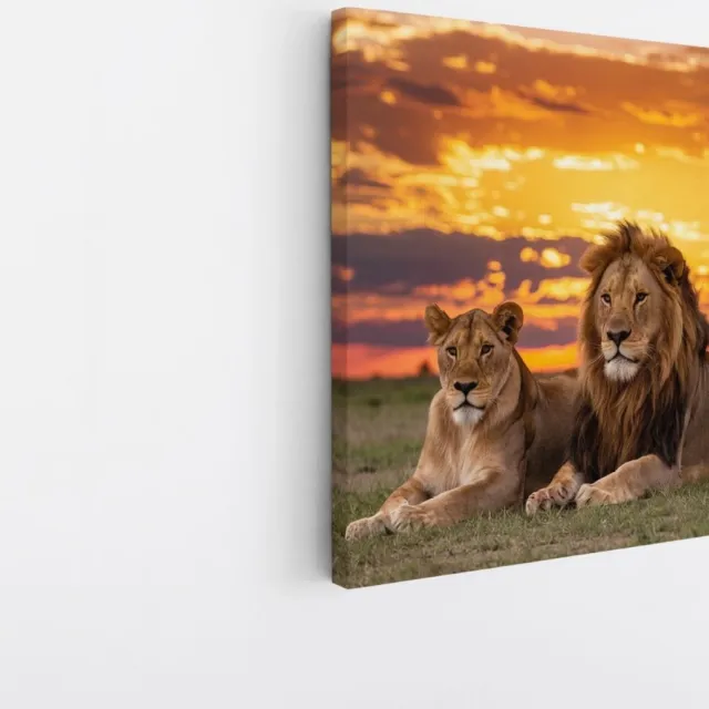 Saammp Canvas Schilderij - 2 Leeuwen in zonsondergang - Afrika -Dieren - Natuur - 40x40 - Foto op canvas - Wanddecoratie - Muurdecoratie Woonkamer - Slaapkamer decoratie - Canvas Print Multicolor