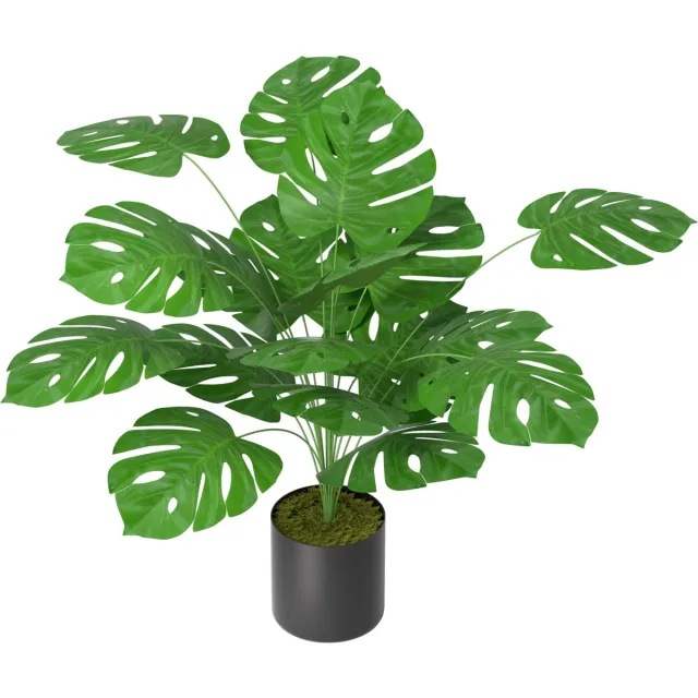 LEELONG Aufun Kunstplant Schildpaddenboom 65cm Kunstplanten Zoals Echt Met Stam Van Natuurlijk Hout Kunstboom Voor Woonkamer Slaapkamer Kantoor Decoratie Groente