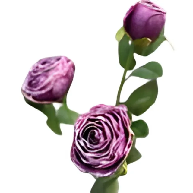 Buitengewoon Boet Roze 3 knoopjes violet Buitengewoon de Boet paars