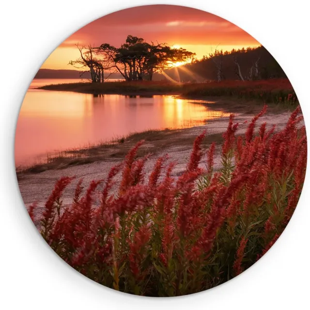 Saammp Forex Muurcirkel - Rode Planten - Landschap - Zon - Bloemen - Natuur - Ø 50 - Wandcirkel - Wanddecoratie Cirkel - Muurdecoratie Woonkamer - Slaapkamer decoratie - Rond Schilderij