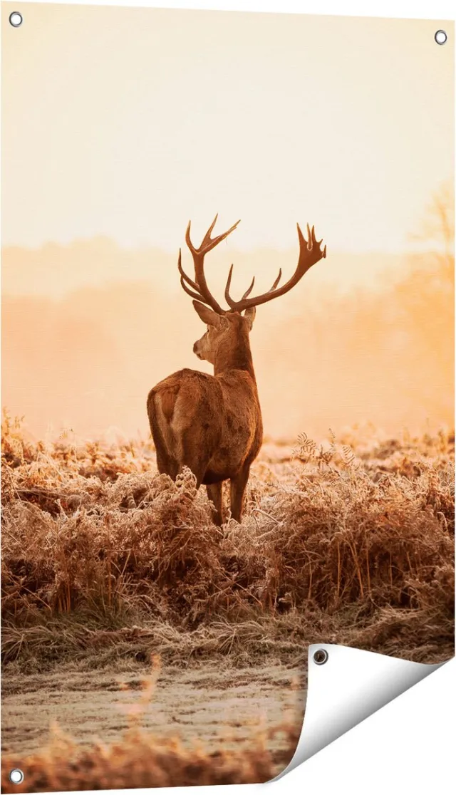 Gards Tuinposter Hert in de Wei tijdens de Zonsopkomst - 60x90 cm - Tuindoek - Tuindecoratie - Wanddecoratie buiten - Tuinschilderij Multikleur