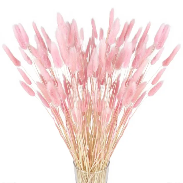 Ibenzoa Set van 120 Stuks Gedroogd Pampasgras Klein voor Decoratie in Huis, Bruiloft en Tafel Roze
