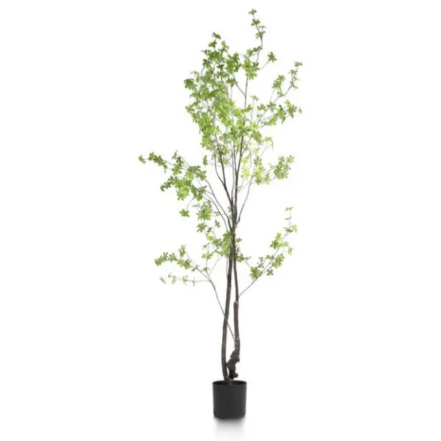 Coco Maison Kunstplant voor binnen - Tropaeolum - 210 cm - Kunstboom - Decoratieve Kunstplant Groen