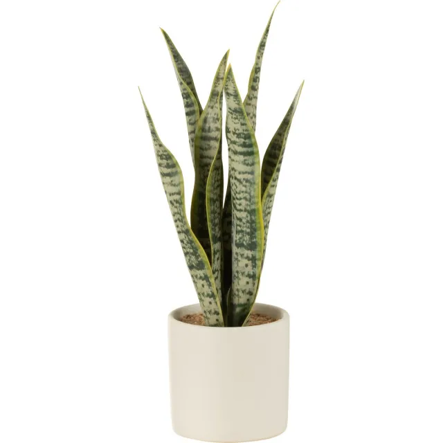 J-Line plant Sansevieria in pot - kunststof - groen - small