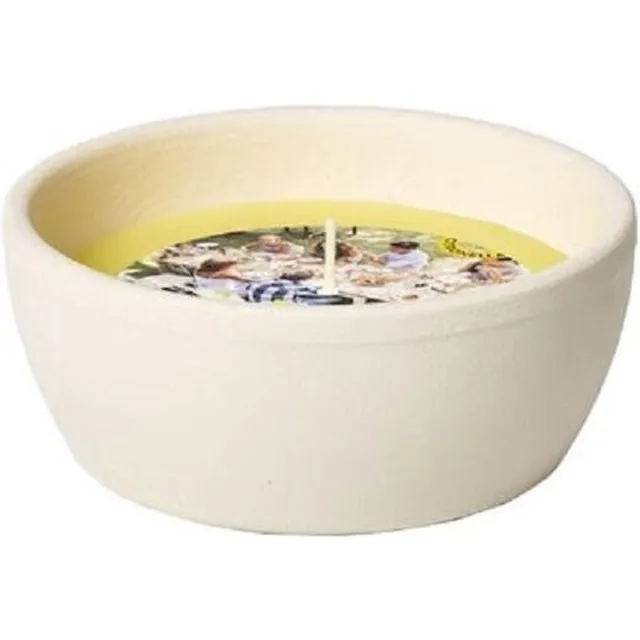 Spaas Kaarsen Tuinkaars in terracotta - lemon breeze geel