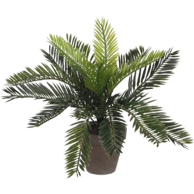 Mica Decorations kunstplant Cyas Groen