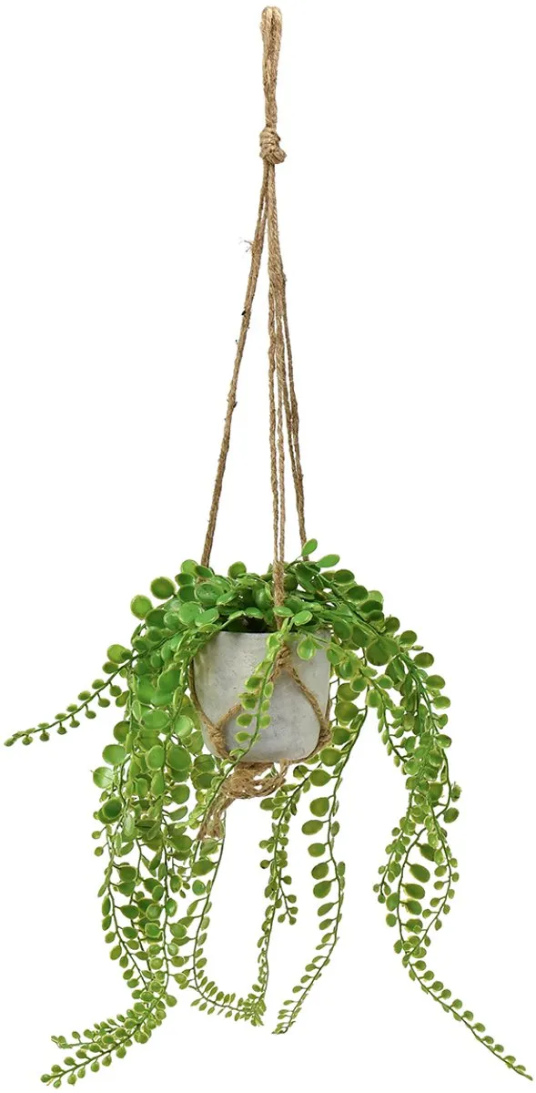Kaemingk Kunstpotplanten succulente hangmand 46cm Mehrfarbig