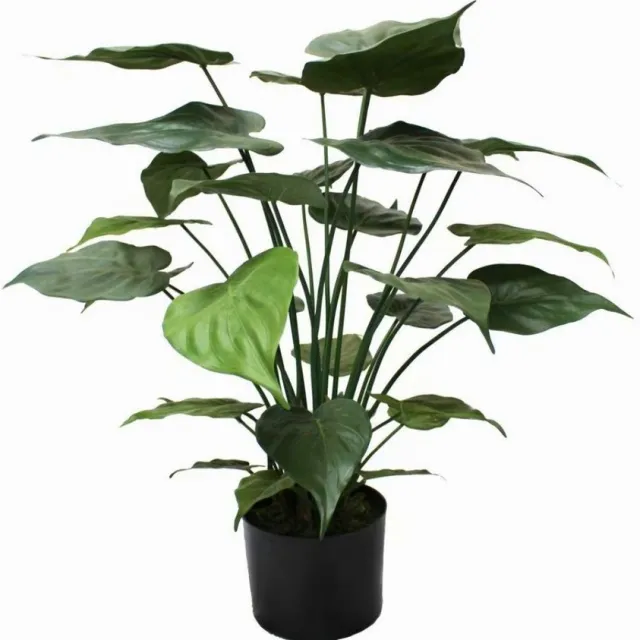 PrettyPlants Alocasia Kunstplant 70cm groen
