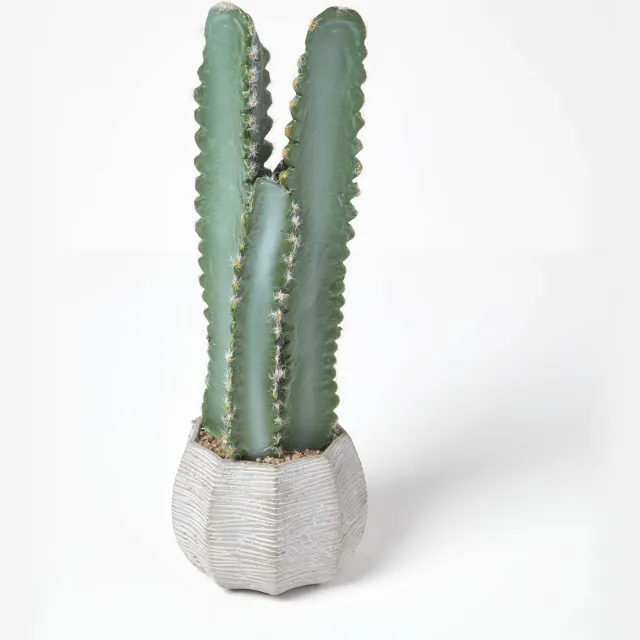 Homescapes Kunstcactus Hylocereus in cementpot, 49 cm hoog Groen