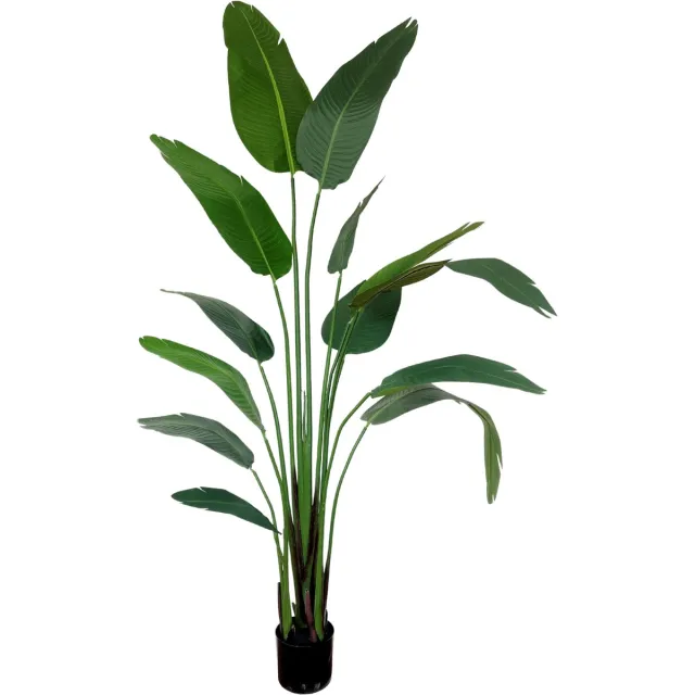 PrettyPlants Strelitzia Kunstplant 210 cm | Strelitzia Nicolai Kunstplant Groen | Kunst Strelitzia | Kunstplanten voor Binnen