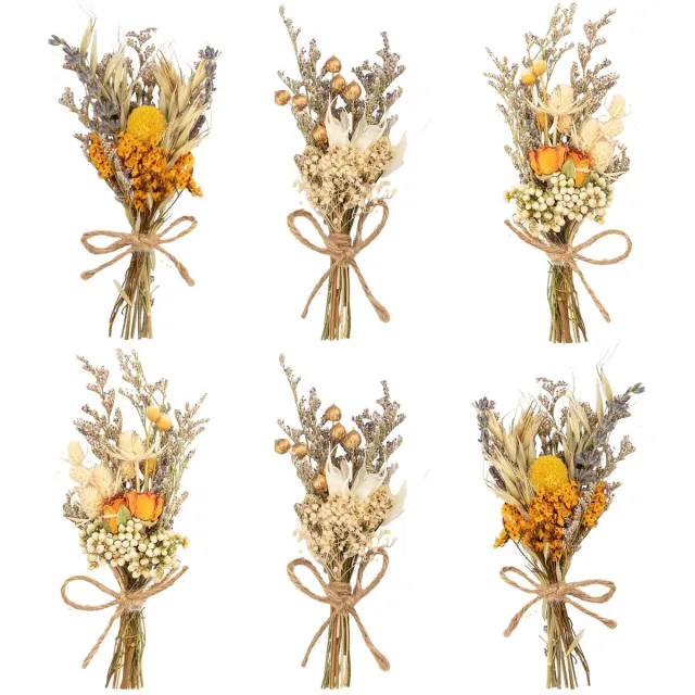 Ibenzoa Gedroogde Bloemen Set voor Creatieve Decoratie en Ambachtelijke Projecten