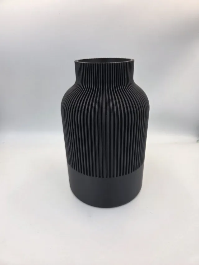 Care3D Vaas - 3D - 22cm - Zwart 10101