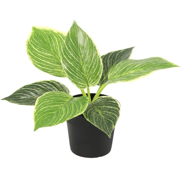Trendyplants Kunst Philodendron Birkin - Philodendron - Kunstplant - Hoogte 20cm - Potmaat Ø9cm Groen