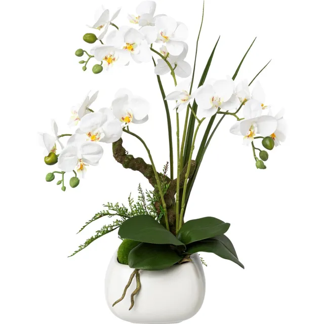 Kopu Kunstbloem Orchidee 46 cm Wit met Bloempot - Phalaenopsis paars