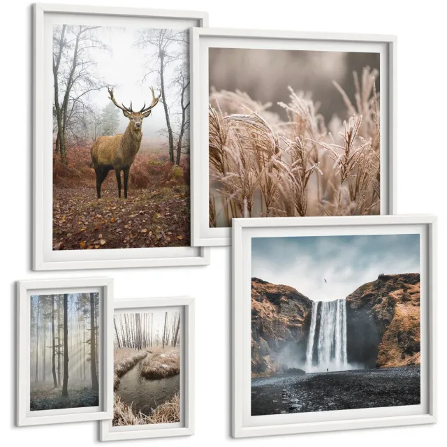 Coloray 5-Delige Schilderij Set - Natuurlijke Landschappen Met Wilde Dieren En Bosdieren - 50 x 50 cm, 20 x 30 cm En 40 x 60 cm - Wanddecoratie - Muurdecoratie - Woonkamer - Woonkamer Decoratie Witte lijst