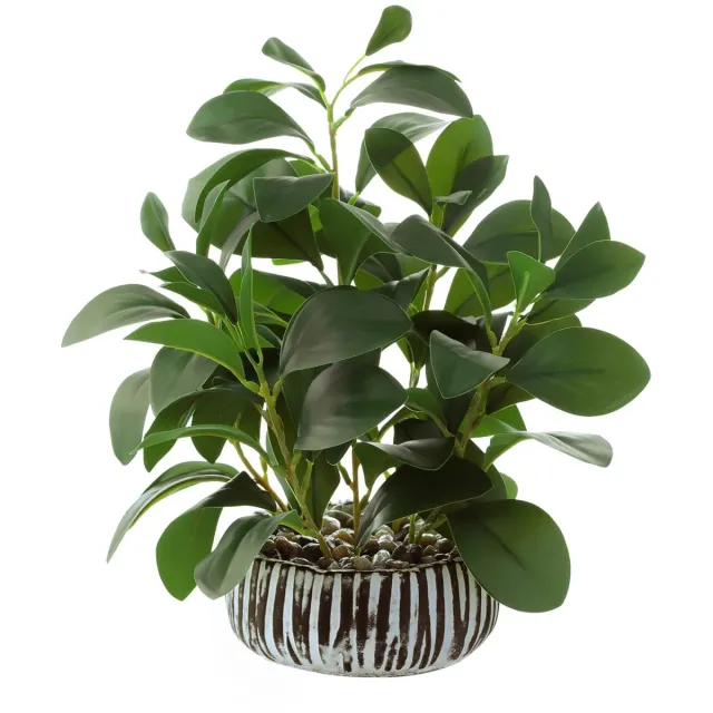 Unyqoos Decoratieve kunstplant Peperomia in stevige cementpot voor binnen en buiten Groen