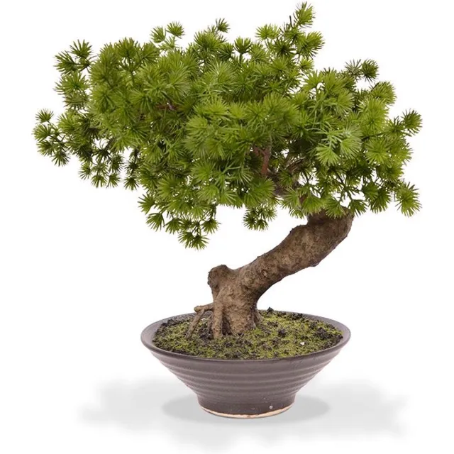 maxifleur Kunstplanten Pinus Bonsai kunstplant 38cm in kweekpot 14cm Groen