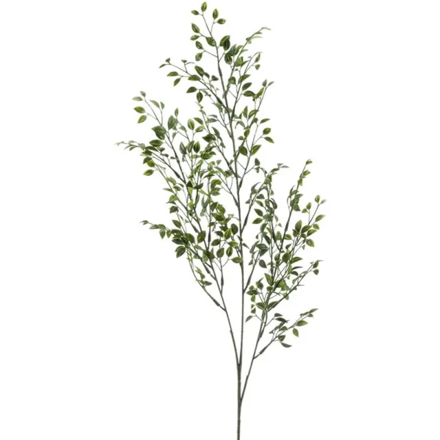 Emerald Buxustak l75 cm groen Emerald onbekend