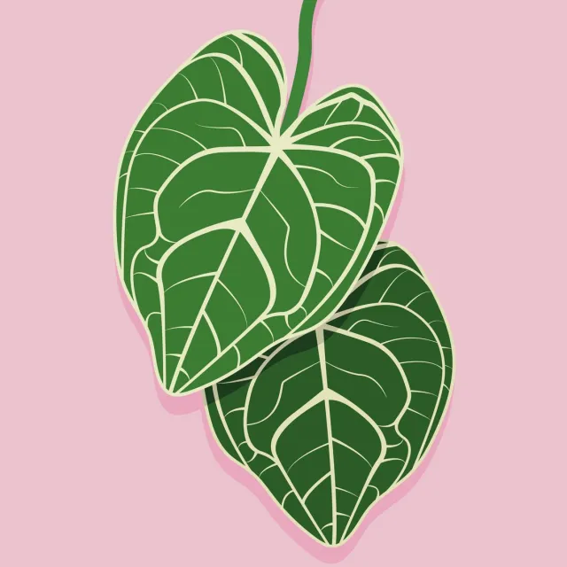 Yisual Poster 30x40 cm - Anthurium Bladeren - Planten - Groen - Roze - Botanisch - Minimalistisch - Muurdecoratie - Wanddecoratie