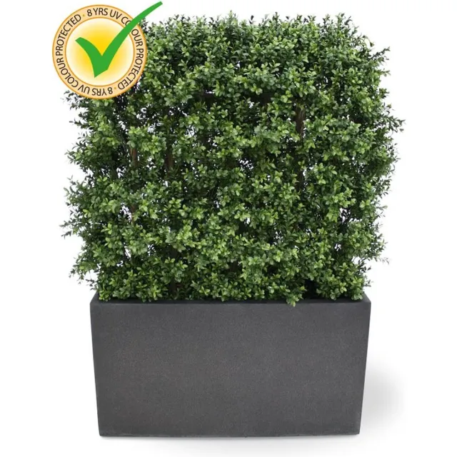 maxifleur Kunstplanten Buxus deluxe kunstheg 80x100cm - UV bestendig Groen