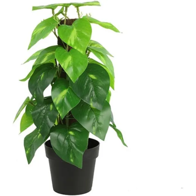 Countryfield Kunstplant Epipremnum groen 35 cm