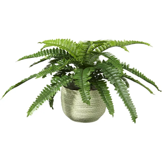 HTT Decorations Kunstplant Nephrolepis H35cm in mand groen – HTT Decorations kunstplanten Mint groen