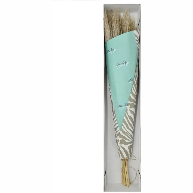 Natuurlijk Bloemen Droogbloemen - Pampas pluimen - 100 cm - 10 stuks - Naturel dried flowers - Natuurlijk Bloemen Grijs