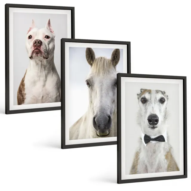 TULUP 4-Delige Schilderij Set - Interessante portretten van honden en paarden in een elegante stijl. - 40 x 60 cm - Wanddecoratie - Muurdecoratie - Woonkamer Zwarte lijst