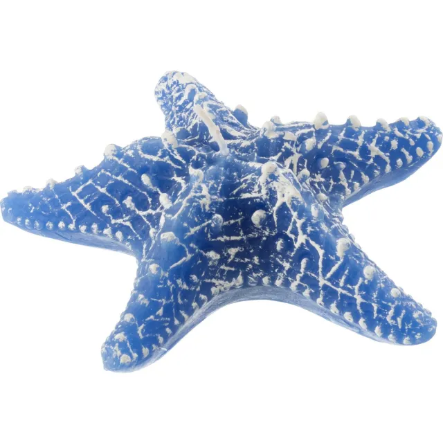 J-Line kaars Zeester - azuur - small - 2U Blauw