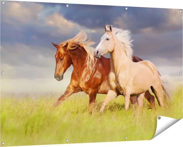 Gards Tuinposter Bruin en Wit Paard in de Wei - 150x100 cm - Tuindoek - Tuindecoratie - Wanddecoratie buiten - Tuinschilderij Multikleur
