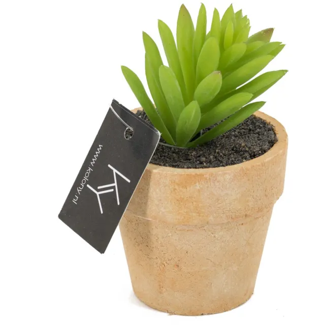 homebound by ky Cactus kunst in potje | kunstplant Groen
