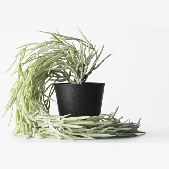 HEMA Kunstplant hangplant 55cm (groen)